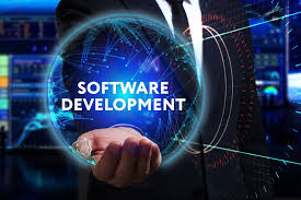 WEB SITE &amp; SOFTWARE DEVELOPMENT